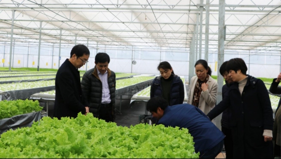 五四星辉蔬菜与集团战略企划部党支部开展结对共建活动 (1)451.jpg