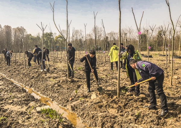 调整大小 上海光明进修学院开展学雷锋义务植树活动 1.jpg
