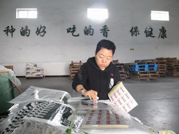 004.webp.jpg 004.webp.jpg