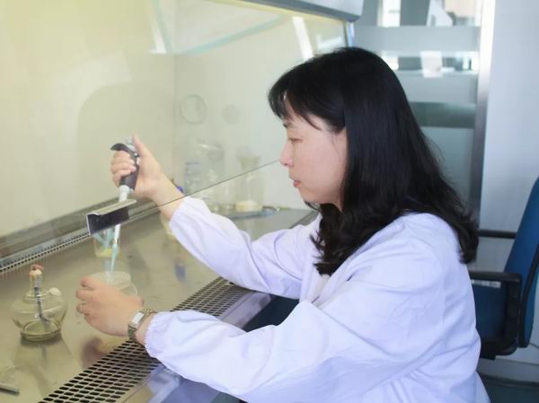 006.webp.jpg 006.webp.jpg