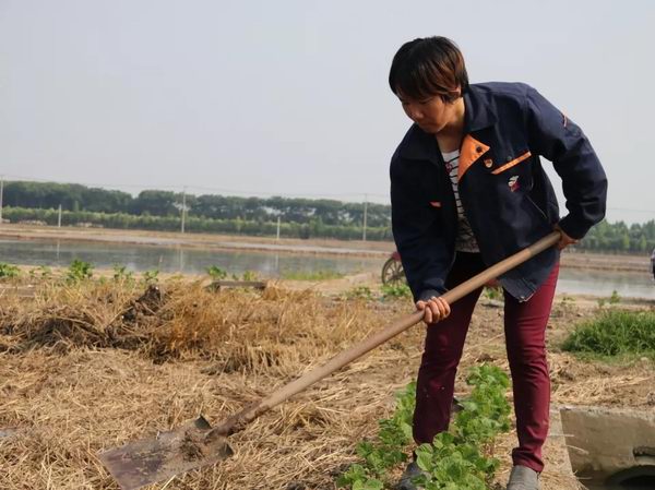 007.webp.jpg 007.webp.jpg