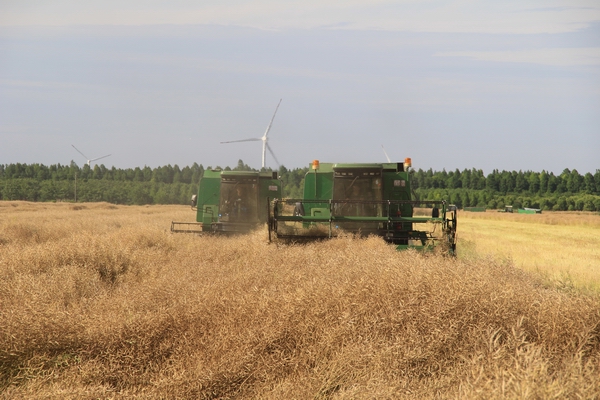 调整大小 4464f22dbeef47a8b53813d0101ce7e.jpg