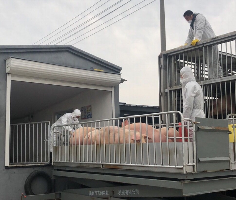 调整大小 微信图片_20200303091211_WPS图片.jpg