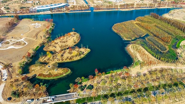 调整大小 花博园地区生态水系整治工程进入冲刺阶段.jpg