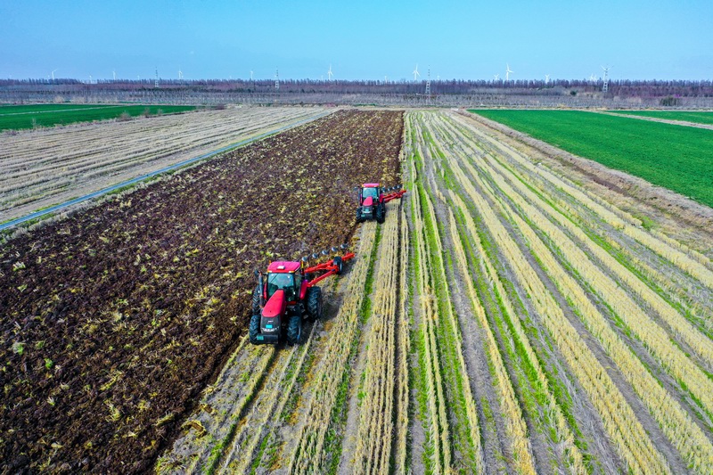 调整大小 5-5-春耕-解放日报张海峰摄-.jpg