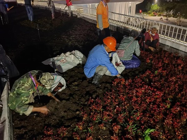 调整大小 微信图片_20210608101357.jpg