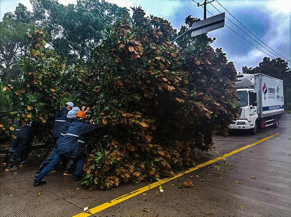 调整大小 领鲜物流康桥物流中心 1.jpg 调整大小 领鲜物流康桥物流中心 1.jpg