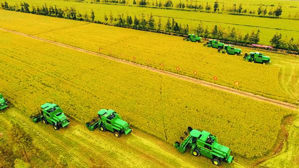 调整大小 一版大照片.jpg 调整大小 一版大照片.jpg