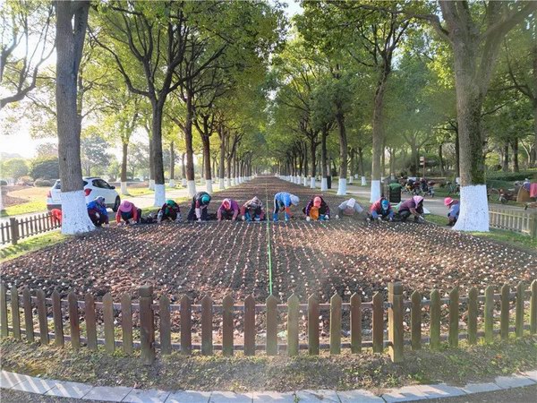 调整大小 鲜花港静待花开疫去，莫负人间春光！.jpg