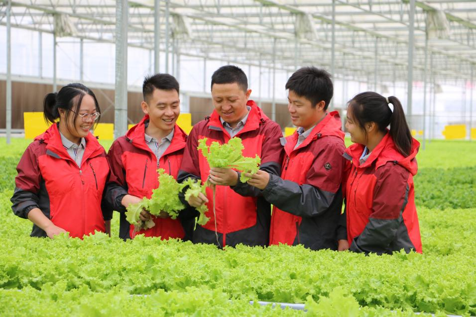 图片1.png 图片1.png