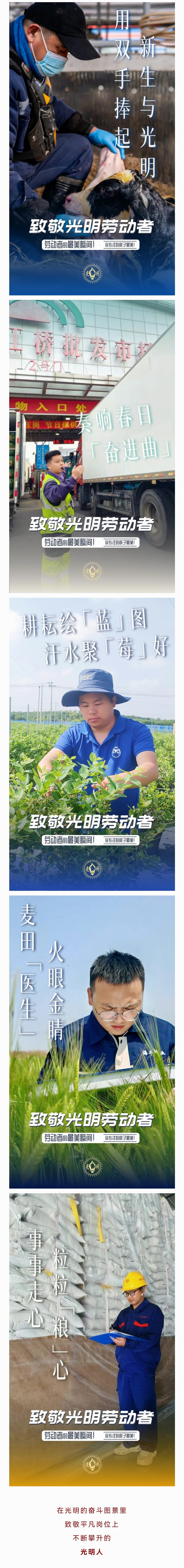 调整大小 微信图片_20250508110232--.jpg