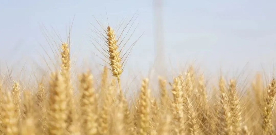 2　光影见证 · 深耕89.jpg