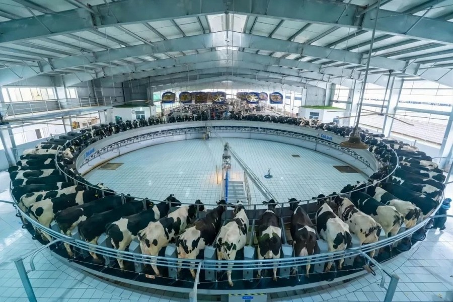 2　光影见证 · 深耕201.jpg