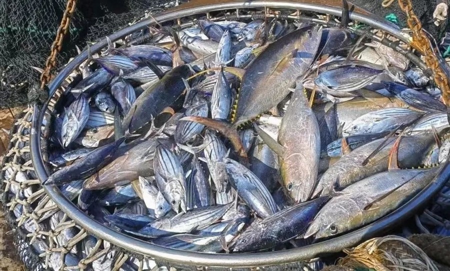 2　光影见证 · 深耕311.jpg