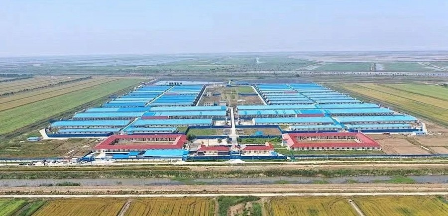 2　光影见证 · 深耕448.jpg