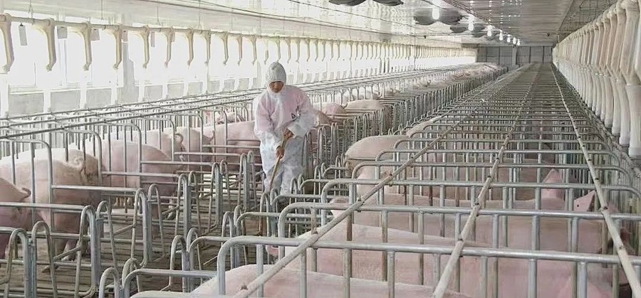 2　光影见证 · 深耕449.jpg