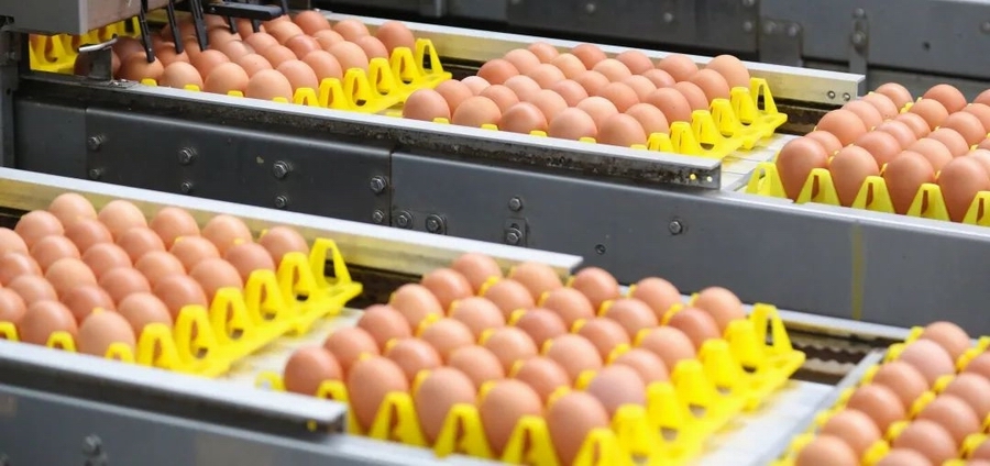 2　光影见证 · 深耕561.jpg