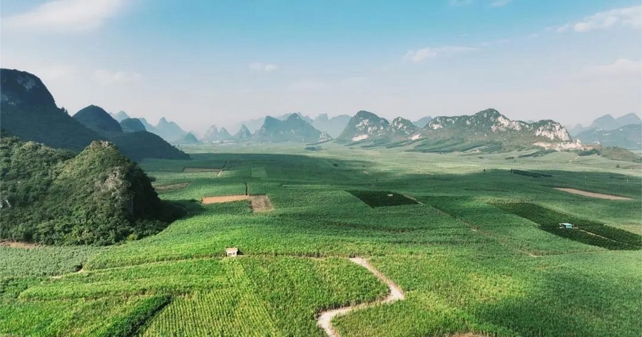 2　光影见证 · 深耕697.jpg