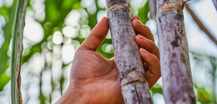 2　光影见证 · 深耕698.jpg