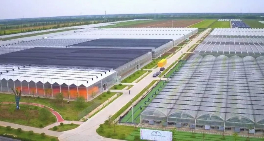 2　光影见证 · 深耕954.jpg