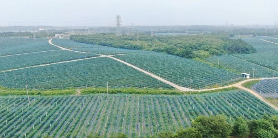 2　光影见证 · 深耕1062.jpg