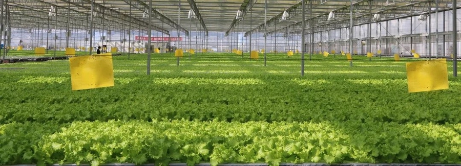 2　光影见证 · 深耕955.jpg