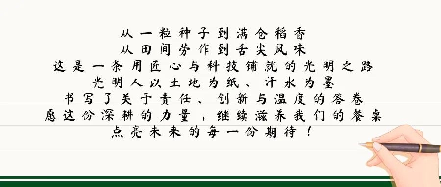 2　光影见证 · 深耕1213.jpg