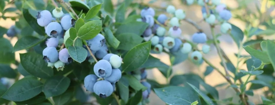 2　光影见证 · 深耕1063.jpg