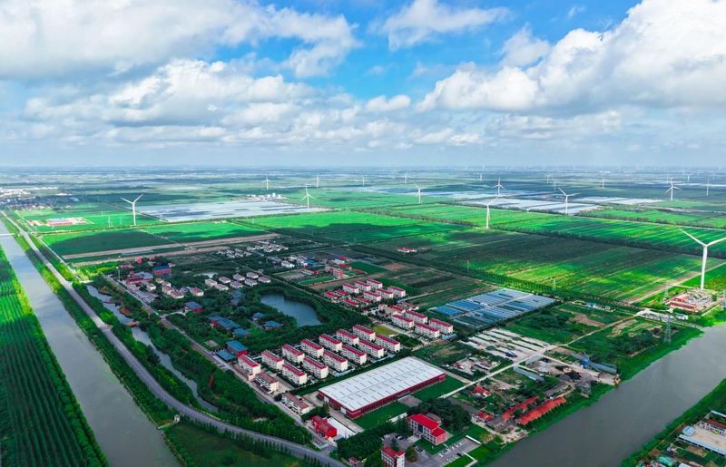 调整大小 微信图片_20250804154536.jpg