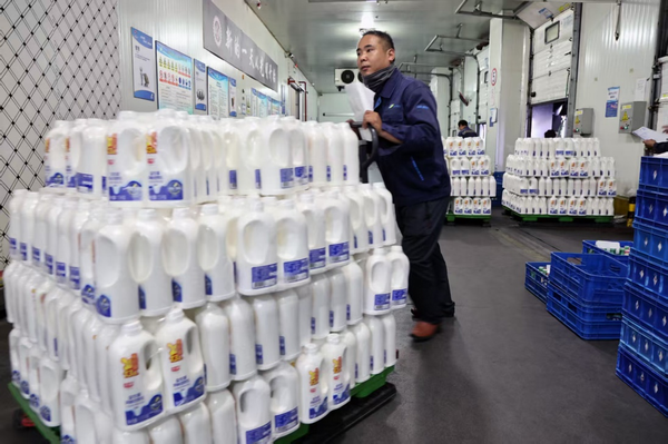 调整大小 光明乳业冷库管理员的“冰火两重天”１.png