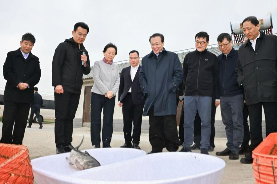 20250325 市委副书记、市长龚正调研光明食品集团江苏盐城地区域外农场2---.jpg